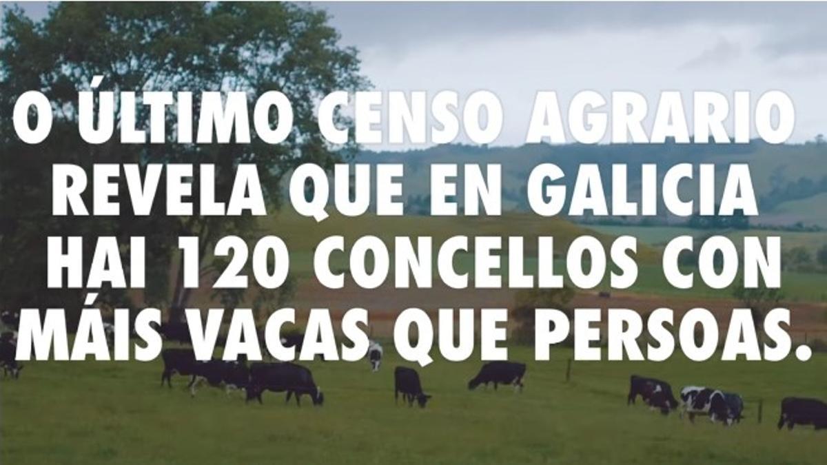 Campaña de Leyma: En Galicia hai 120 concellos con máis vacas que persoas