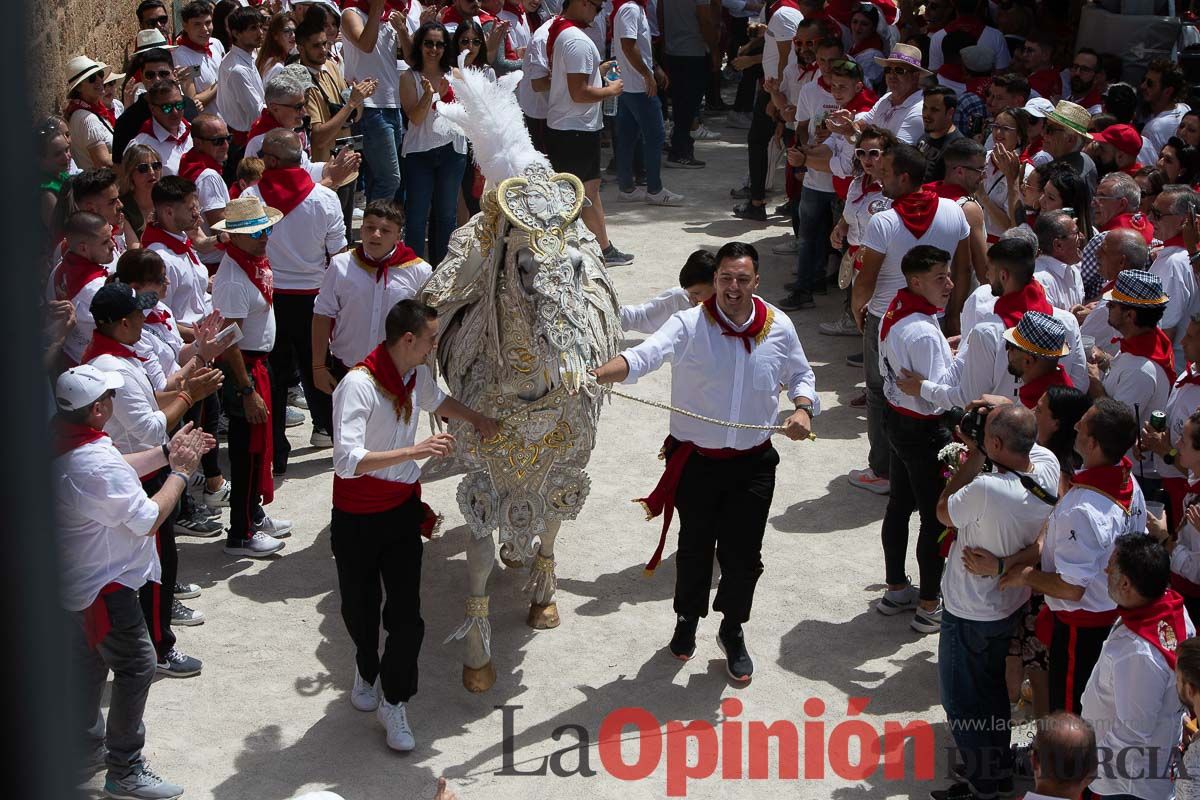 Así ha sido la carrera de los Caballos del Vino en Caravaca