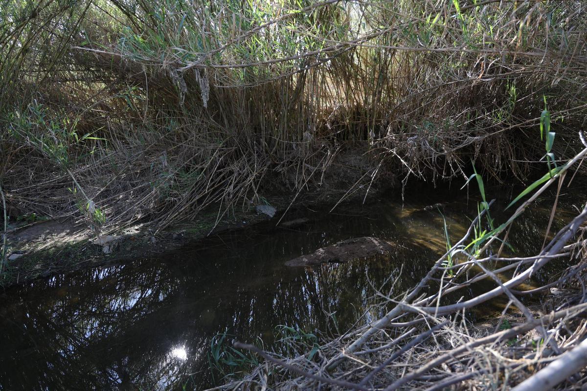 Fotogalería | Obras de mejora en la Ribera del Marco de Cáceres