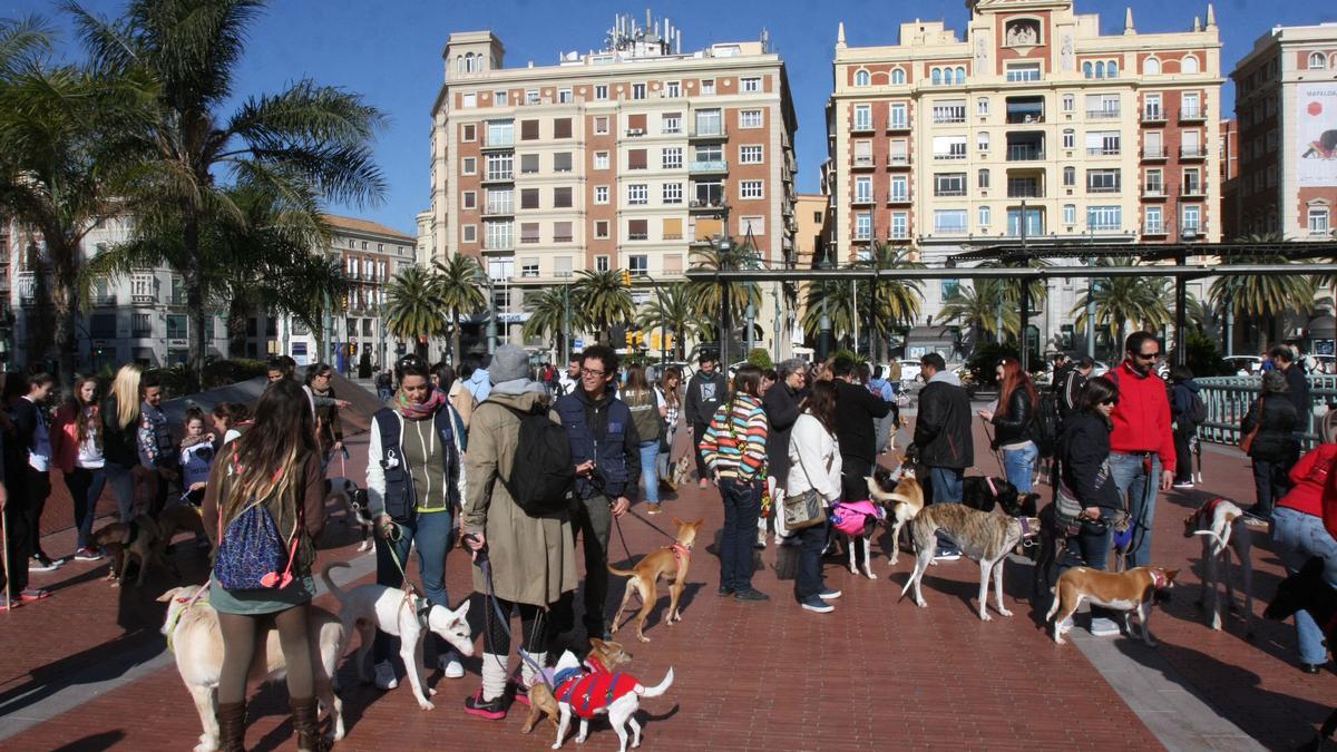 Concentración en Málaga contra el maltrato a los perros de caza, en 2015.