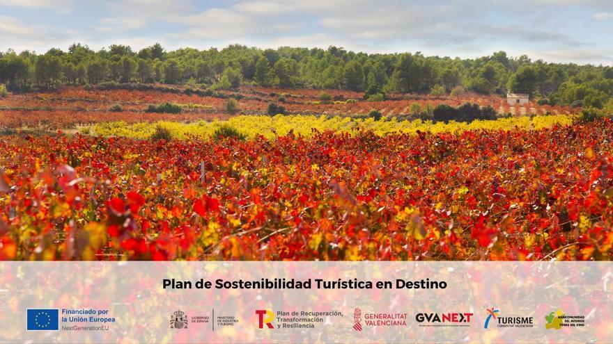 Tierra Bobal refuerza su estrategia de comunicación digital para potenciar su atractivo turístico gracias al Plan de Sostenibilidad Turística en Destino