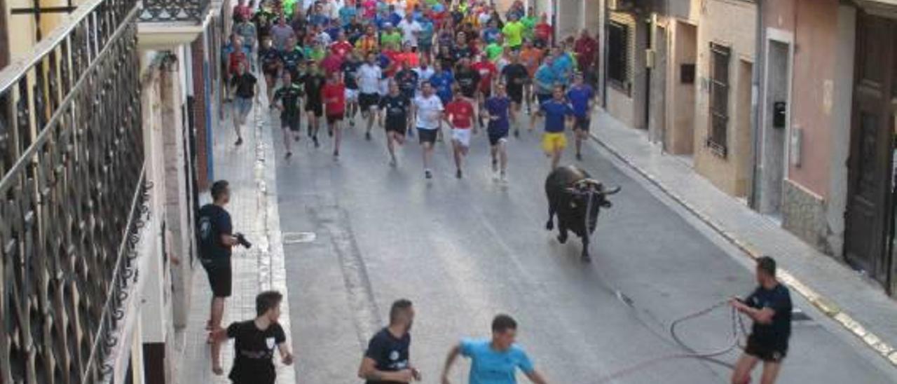La prohibición del «bou en corda» en Valencia choca con su auge en els Alcalans