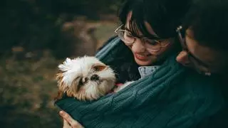 Un estudio asegura que la mayoría de perros odia una de las muestras de afecto humano más comunes