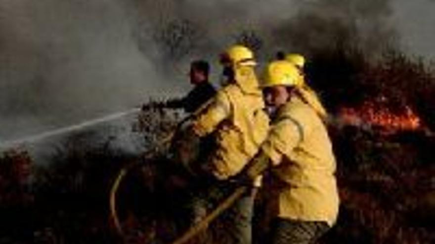 Pereira avala la Ley de Montes en la lucha contra incendios