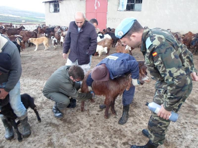 FOTOGALERÍA / Veterinarios de la UCO en Líbano