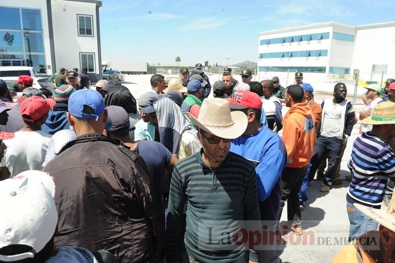 Protesta hortofrutícola en una empresa de El Raal