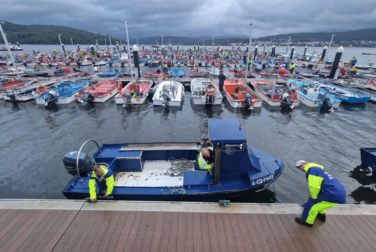 La flota de enmalle que trabaja en Arousa,empleando las populares redes conocidascomo “miños” para la pesca de centollo. | // IÑAKI ABELLA