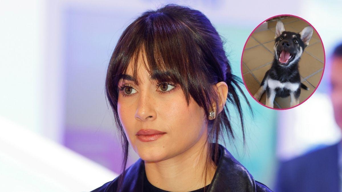 La conmovedora historia de Sopita, la perra de Aitana, antes de ser adoptada