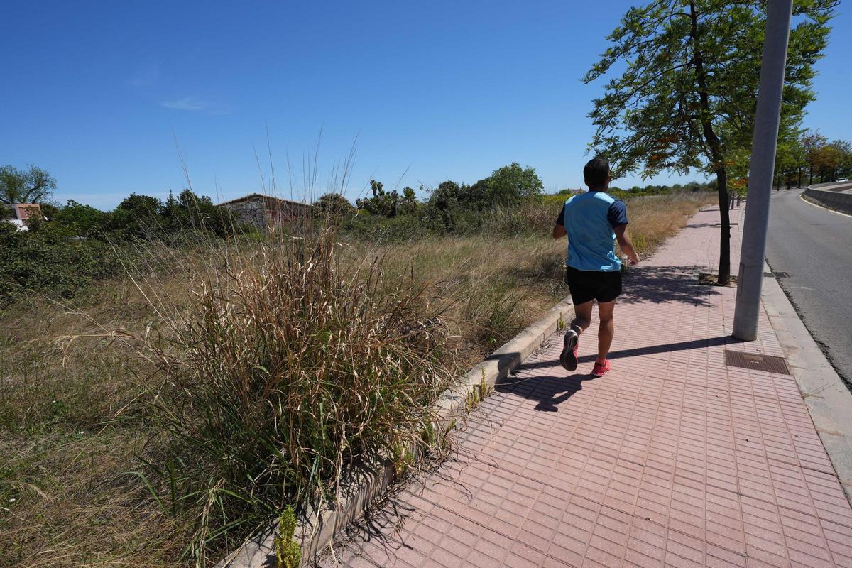 Imagen de archivo de un solar repleto de maleza junto a la ronda de circunvalación de Castelló.