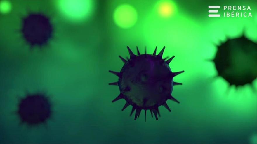 Consiguen los genomas completos de coronavirus en España