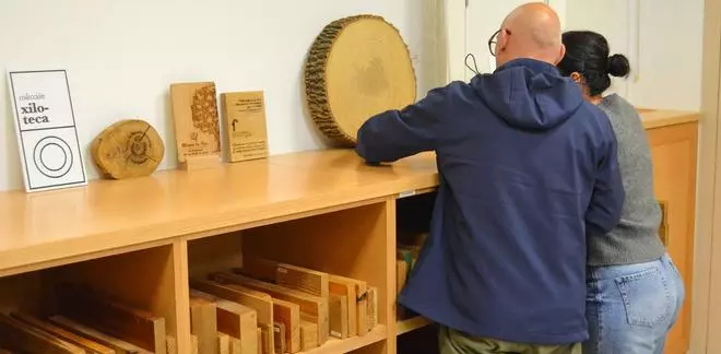 Nace la guía de la xiloteca del campus de Pontevedra