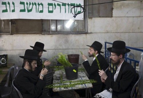Ultra-Orthodox Jewish men inspect myrtle branches for blemishes during preparations for the upcoming Jewish holiday of Sukkot in Jerusalem