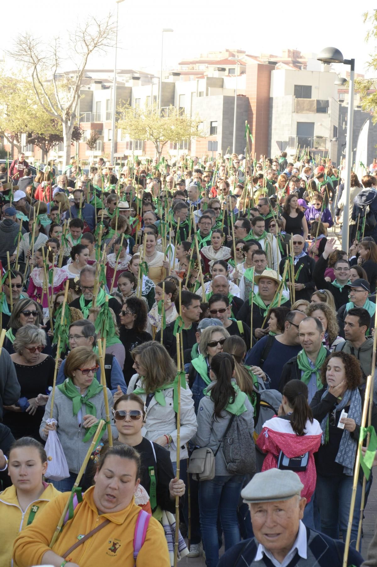 Búscate en la Romeria