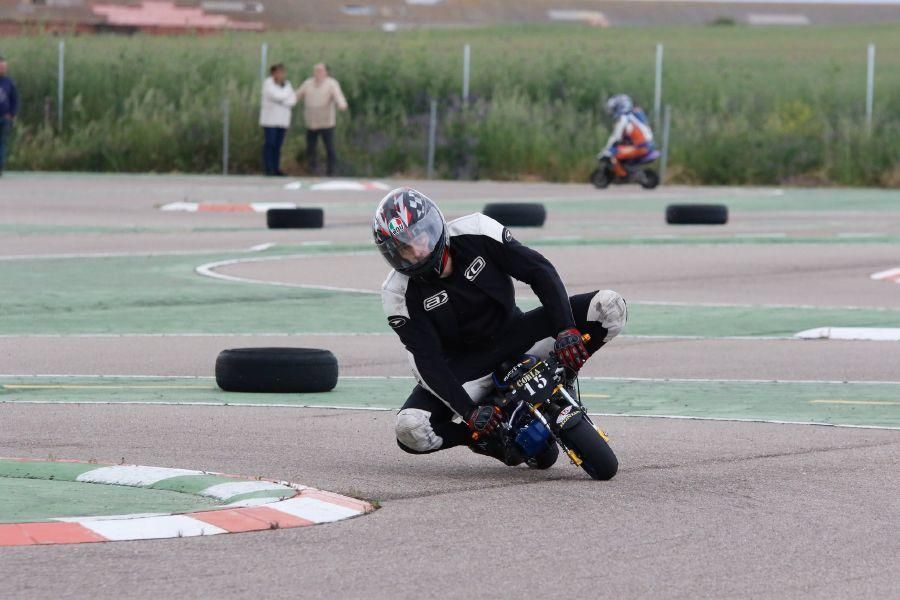 Exhibición de Minimotos en Morales del Vino