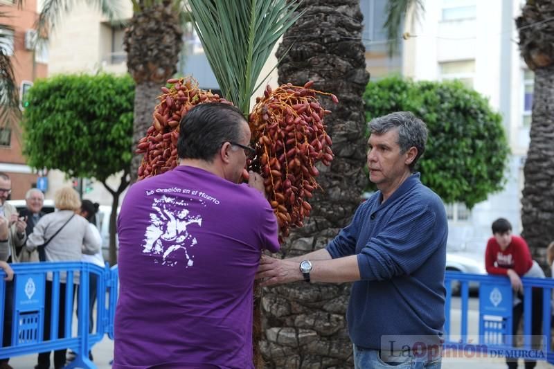 Reparto de monas en la Plaza de San Agustín de Murcia