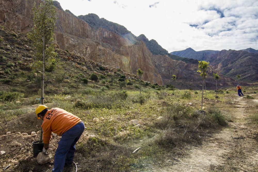 Proyecto para convertir la cantera de Cox en zona verde