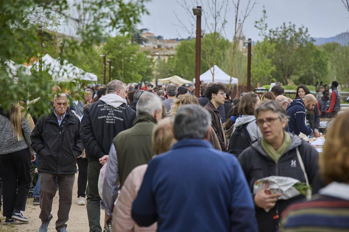 Una gentada s’ha acostat per visitar els 34 expositors presents, per participar en algun dels tallers programats o passejar per l’espai natural de la Fira de la Flor i el Planter. Una gentada s’ha acostat per visitar els 34 expositors presents, per participar en algun dels tallers programats o passejar per l’espai natural de la Fira de la Flor i el Planter.