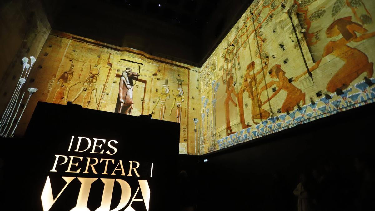 Espectáculo multimedia inmersivo de la exposición 'El despertar a la vida. Infancia y adolescencia en el antiguo Egipto'.