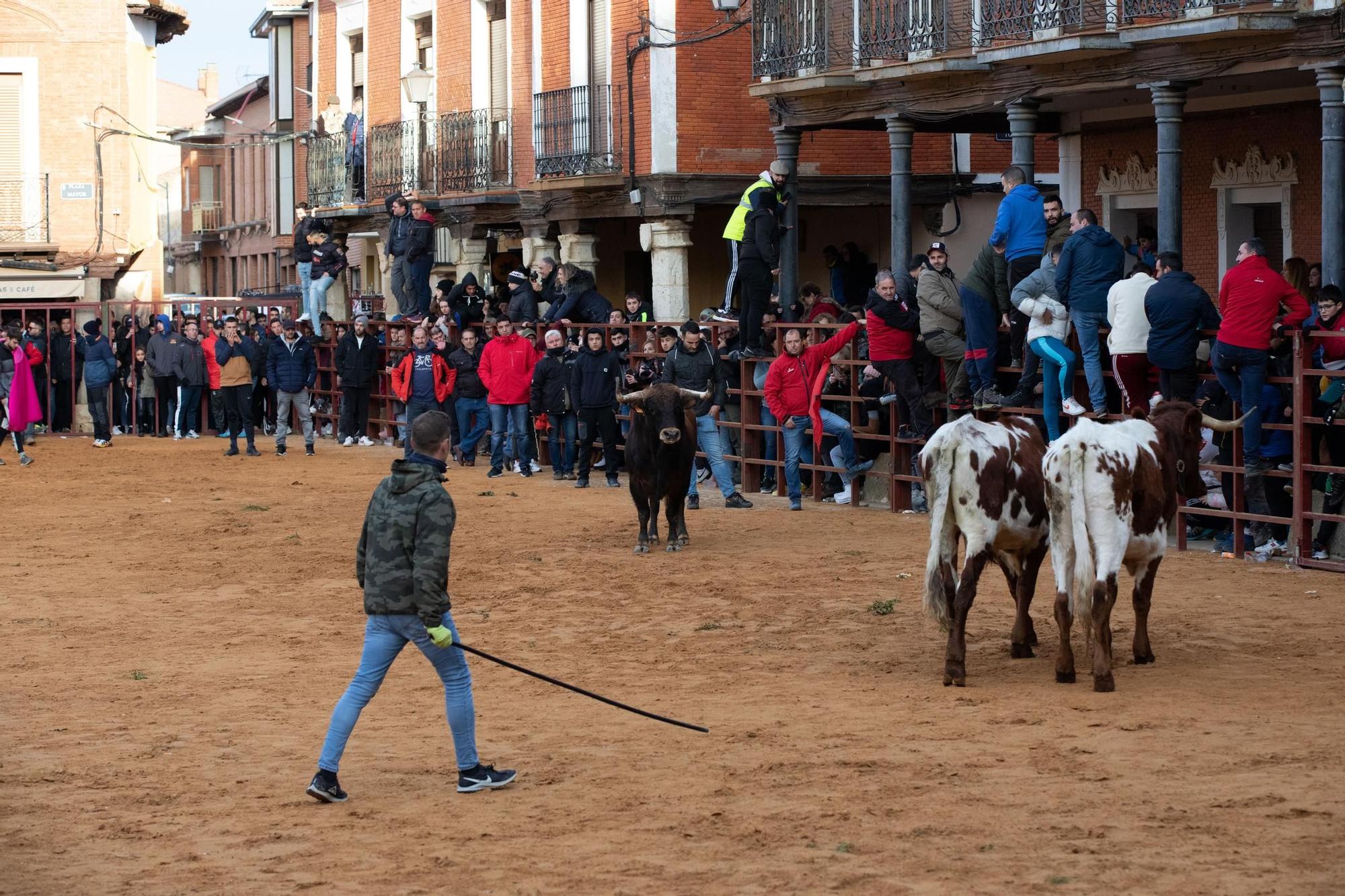 GALERÍA | Villalpando vibra con el "Toro de la Purísima"