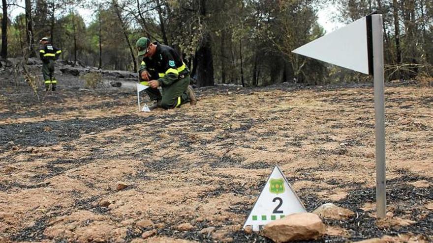 Banderoles que indicaven punts on hi va haver fregament entre la màquina i pedres del terreny