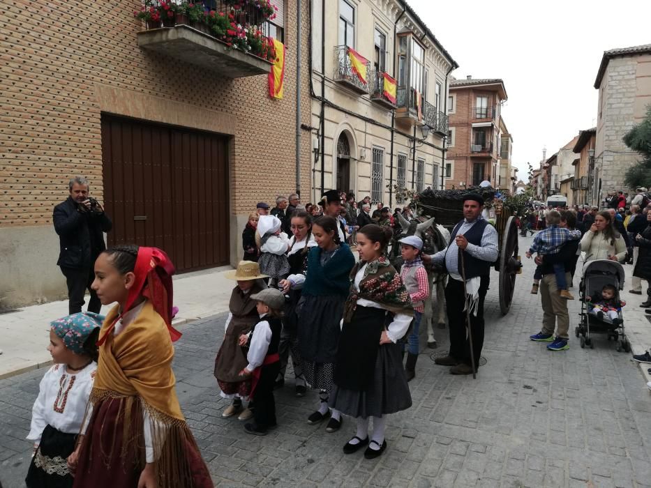 Desfile de carros de la Fiesta de la Vendimia