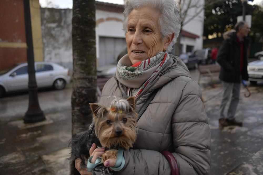 Bendición de mascotas en La Magdalena.