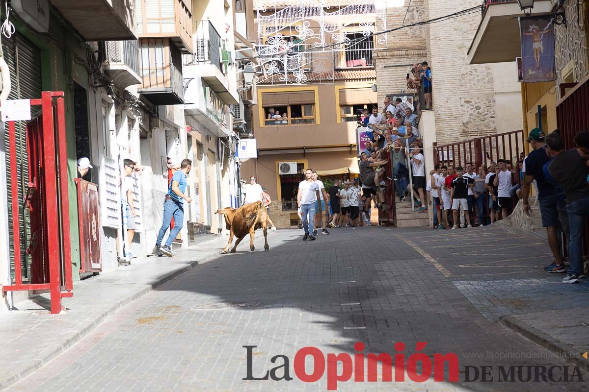 Séptimo encierro de las Fiestas de Moratalla