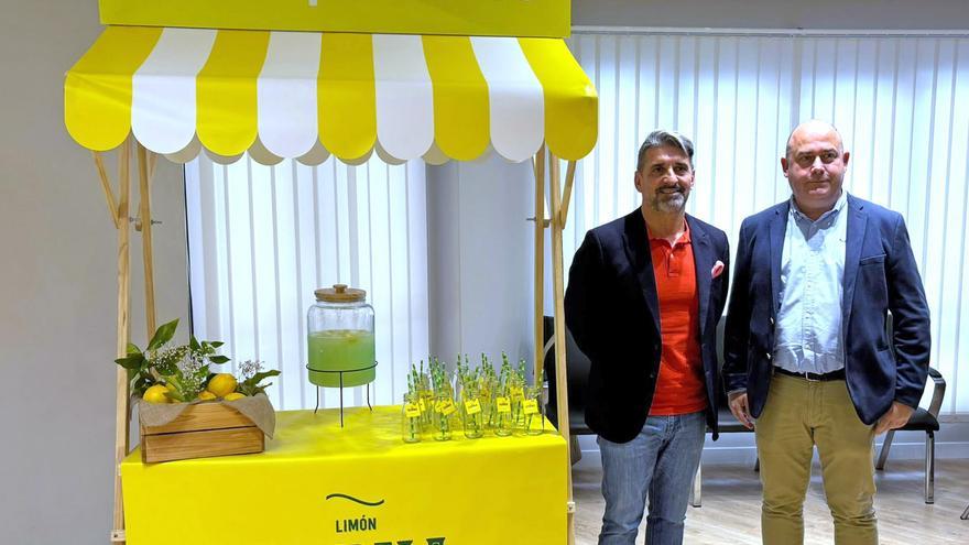 El limón Verna protagonizará los platos de 18 restaurantes de Murcia