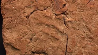 Descubren una huella humana de 4.000 años en Egipto: así es el impresionante hallazgo