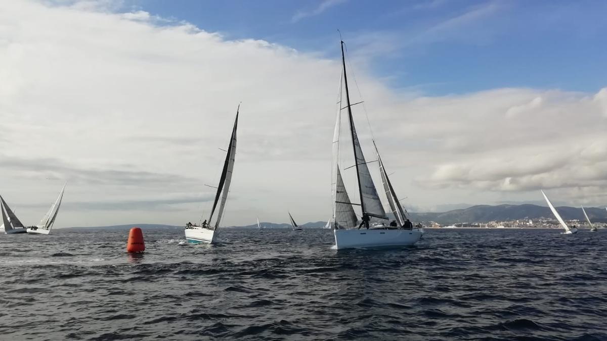 El Trofeo Navidad disputado hoy en aguas de la Bahía de Palma. Foto: Carlos Torres.