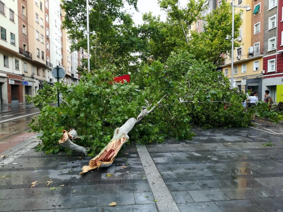 Consecuencias de la tormenta en Zaragoza