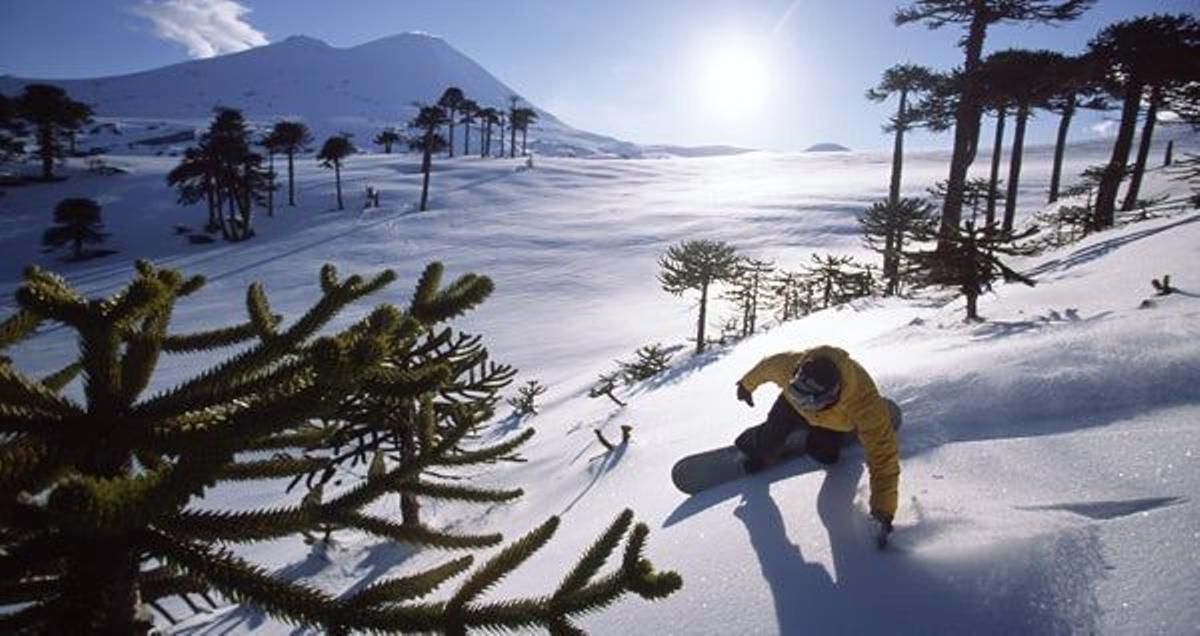 Estación de esquí Las Araucarias, en los Andes.  Foto: Henrik Trygg.