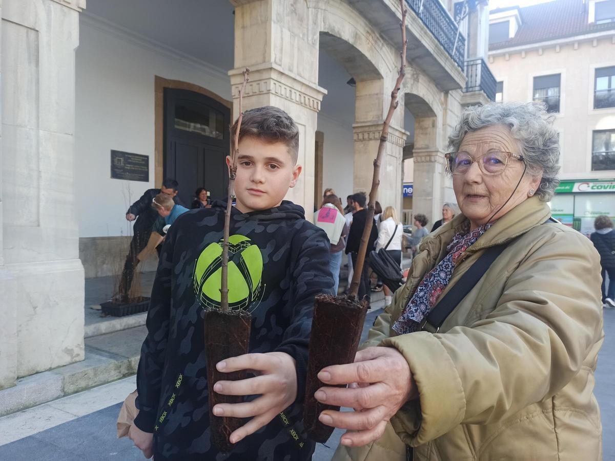 Árboles para la huerta, para cerrar una finca o para replantar en el monte en Siero: así son los usos que dan los vecinos a los plantones repartidos por el Ayuntamiento
