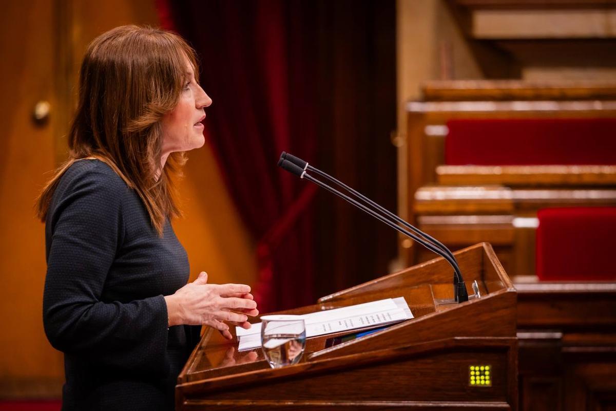 La diputada Maria Àngels Planas