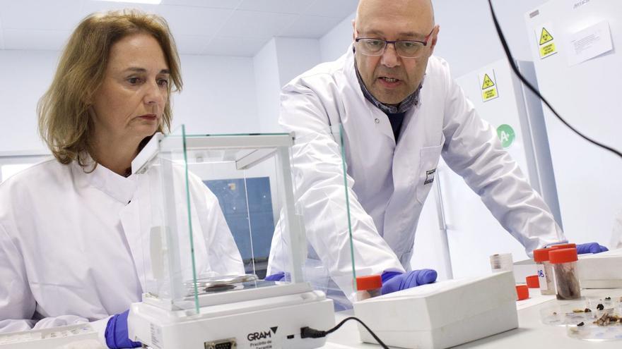 Los investigadores de la UMU Pilar Muñoz y Diego Romero,en el laboratorio.  juan carlos caval