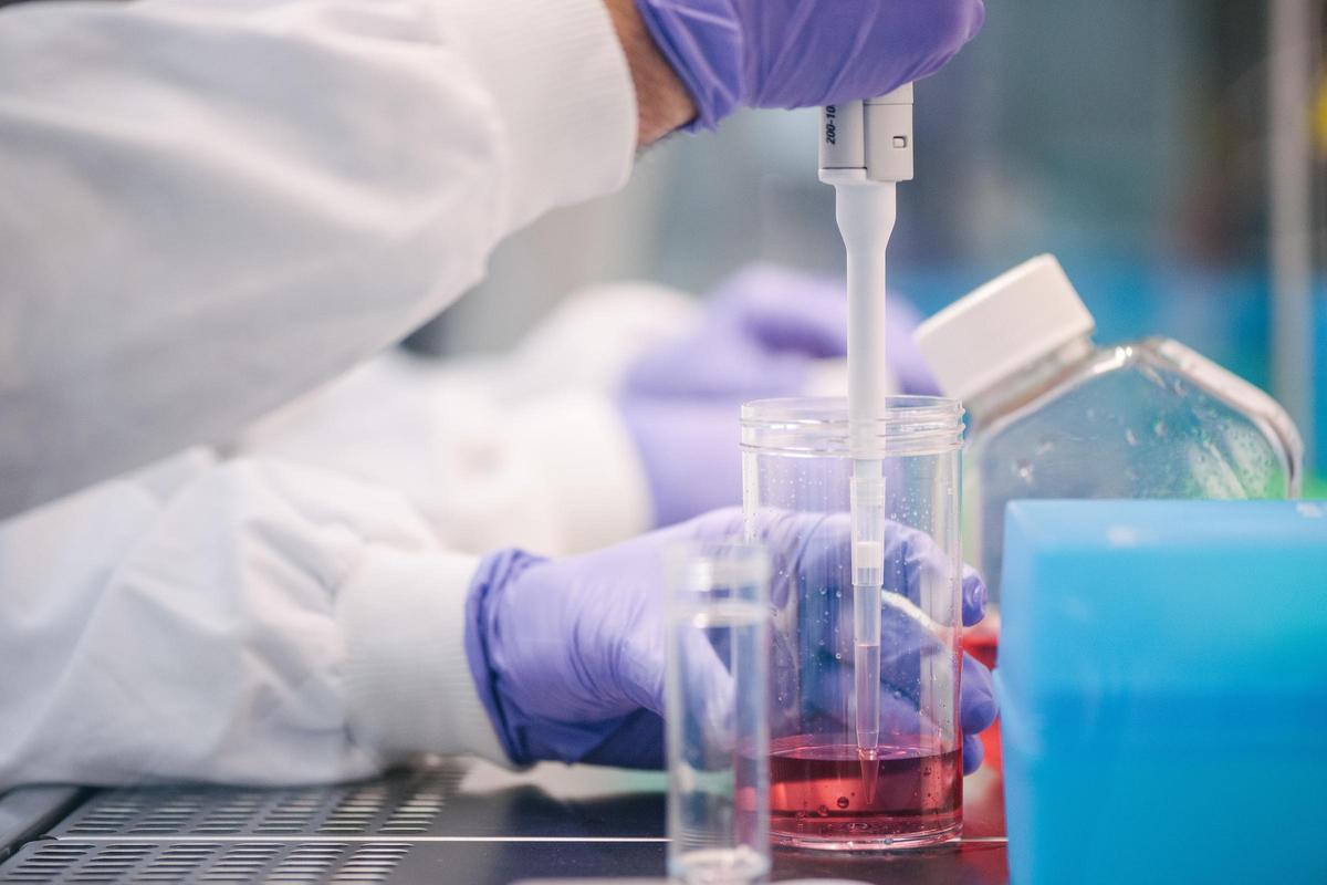 TOXICOLOGIA IN VITRO ALS LABORAORIS DE BAT