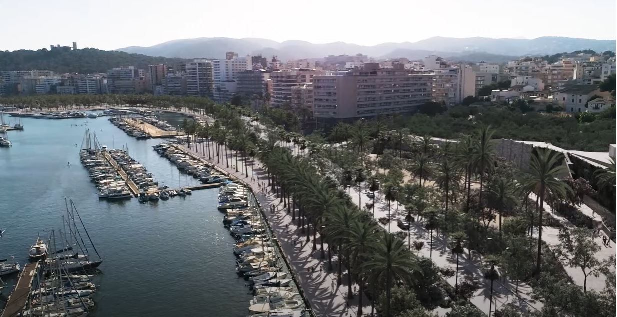 Las espectaculares fotos del nuevo Paseo Marítimo de Palma: Así se  convertirá en un bulevar - Diario de Mallorca