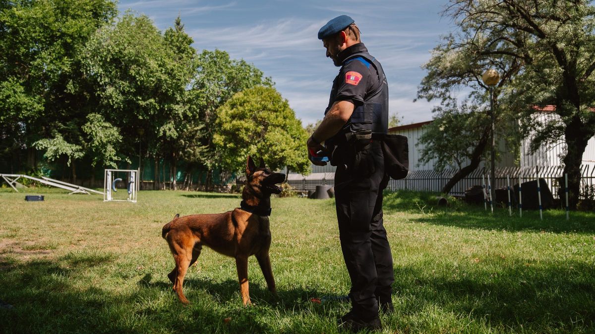 Sergio y Lobo durante un entrenamiento en la Unidad Canina de la Policía Municipal de Madrid.
