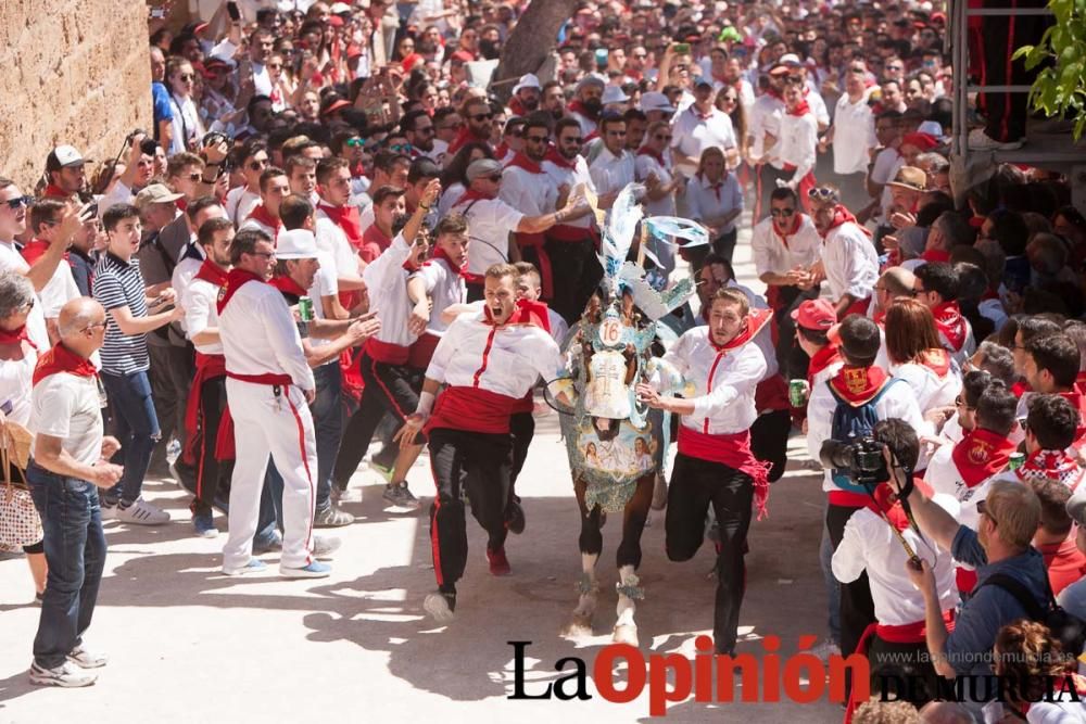 Carrera de los Caballos del Vino