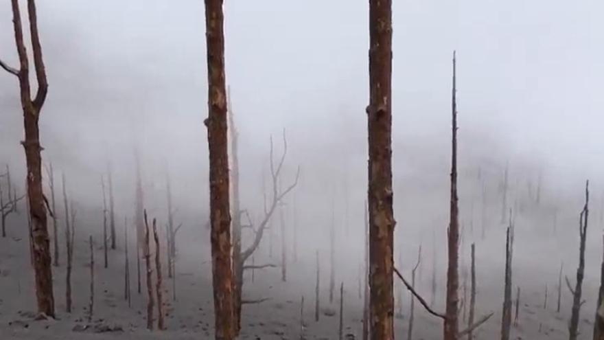 Así se ve el entorno de las bocas efusivas del volcán de La Palma