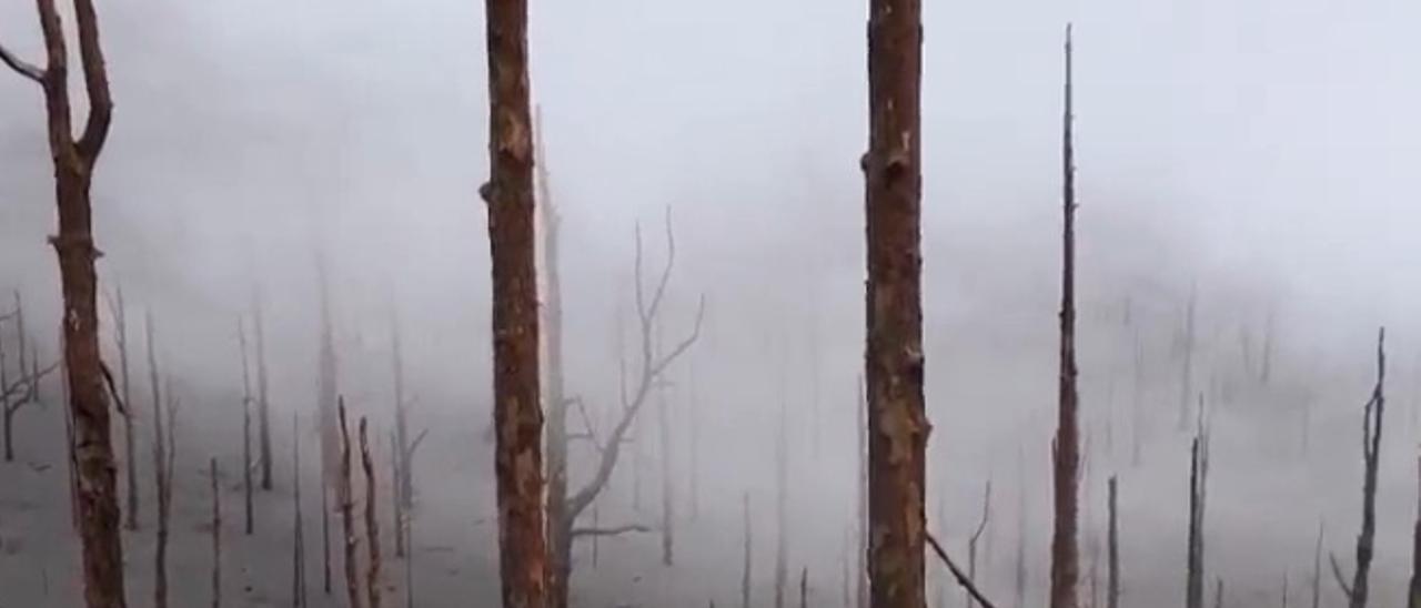 Así se ve el entorno de las bocas efusivas del volcán de La Palma