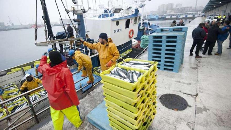 Marineros del &#039;Mar de Alba&#039; descargan cajas de pescado en A Coruña supervisados por dos inspectores.