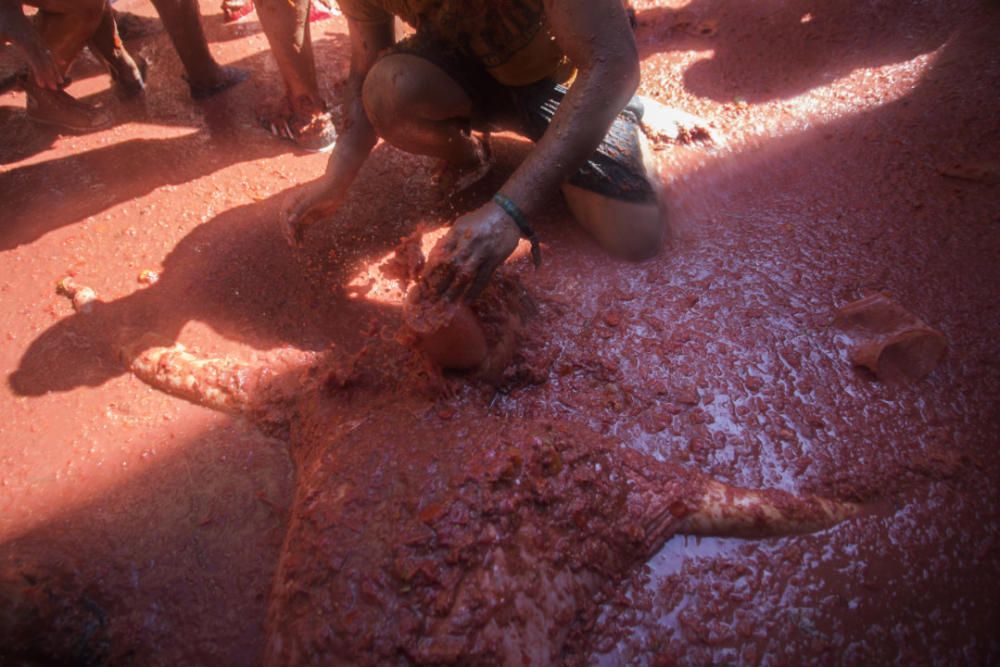 Tomatina de Buñol 2019