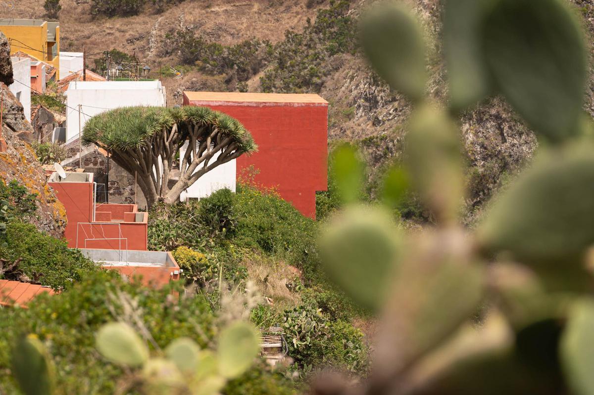 Lomo de las Bodegas: A Haven in Anaga Lomo de las Bodegas: A Haven in Anaga