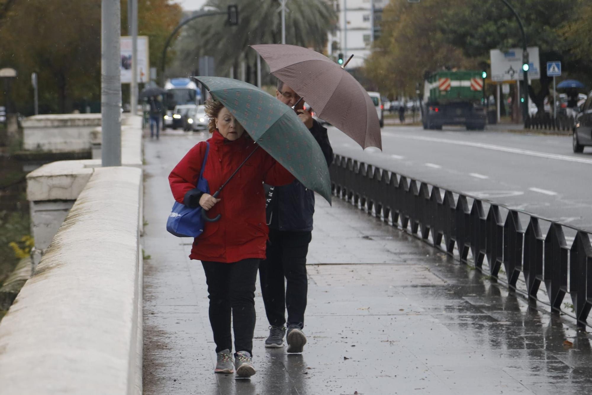 Numerosas incidencias por el temporal de viento y lluvia en Córdoba