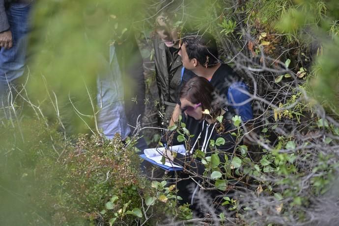 Investigación sobre los huesos hallados en el Barranco Los Dolores en Firgas