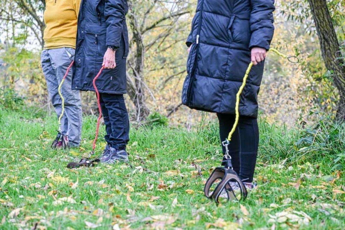 El "hobby dogging" empieza a ser tendencia.