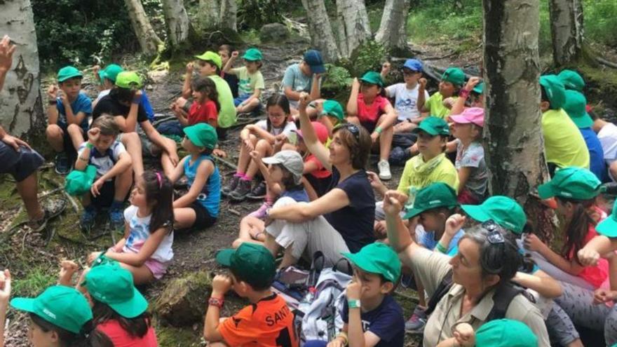 Vuelven los campamentos de verano sin restricciones