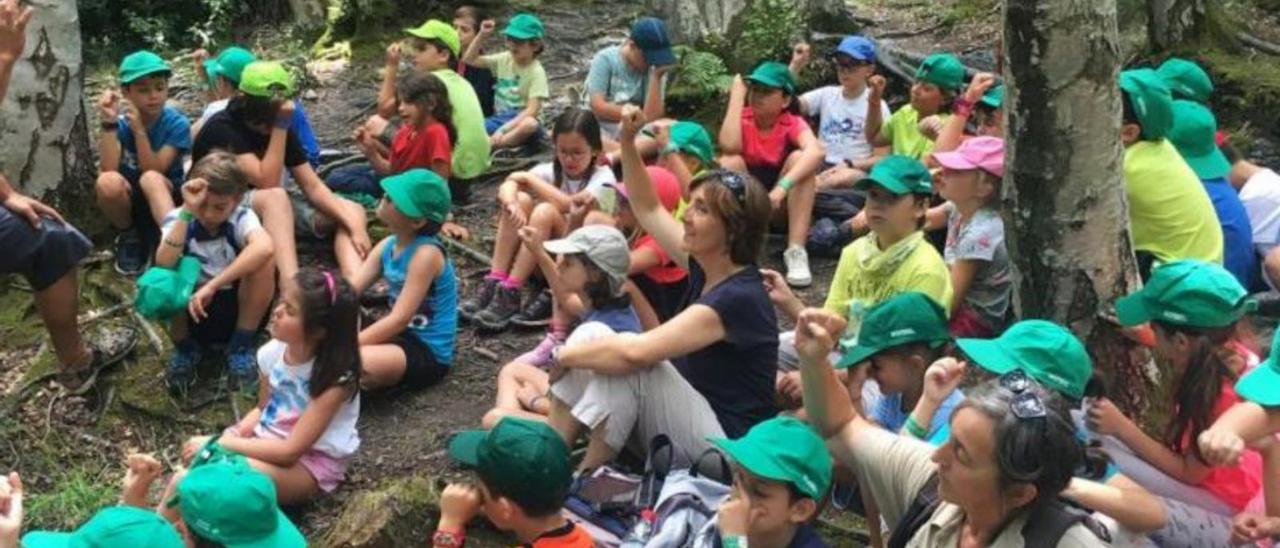 El campus infantil La Alfranca celebra su decimotercera edición. | DGA