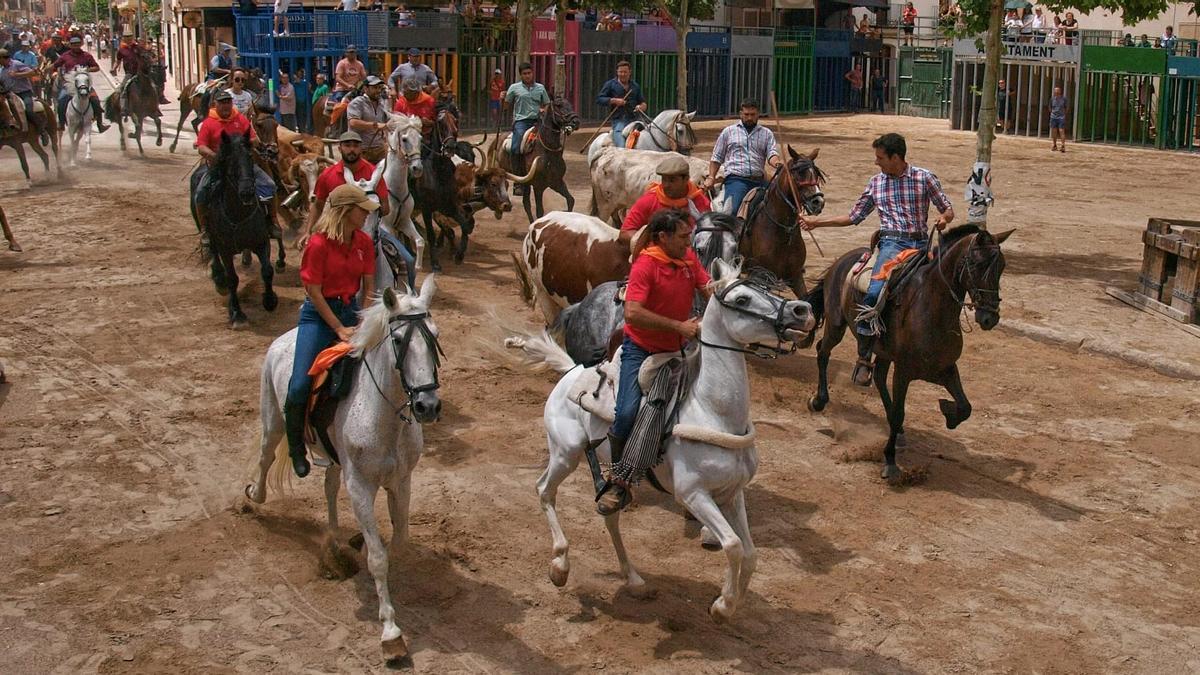 En la intensa y concurrida carrera, junto a los caballos hubo astados de la ganadería de Javier Tárrega, ‘El Gallo’.